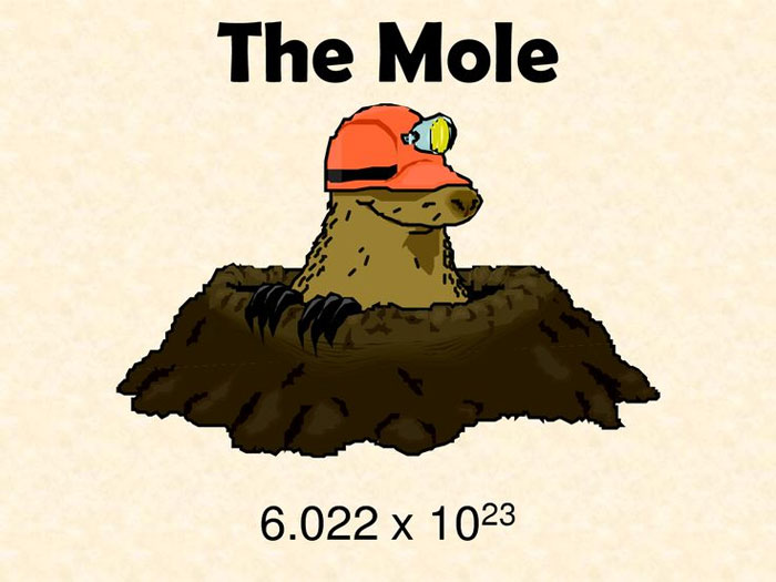 The Mole