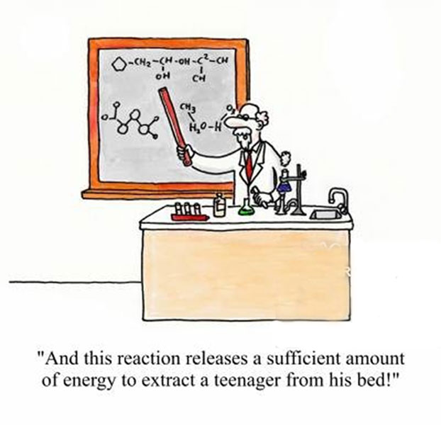 React