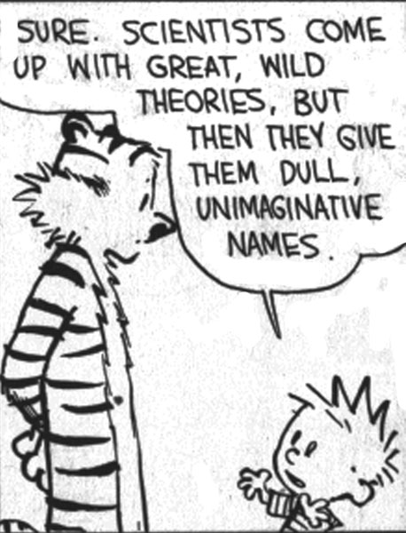 Names