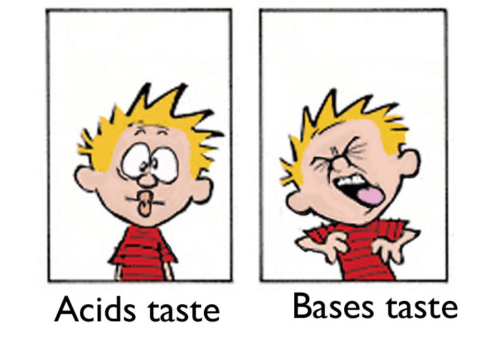 Great Taste
