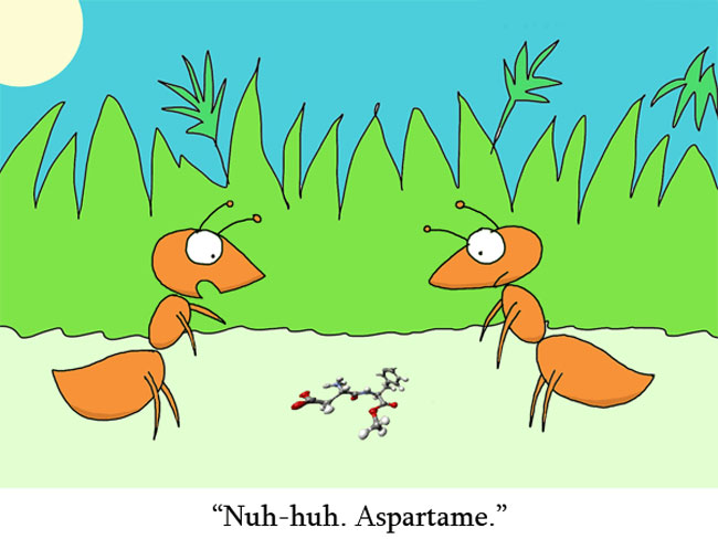 Ants
